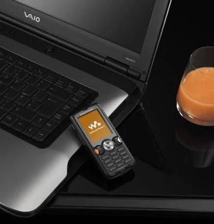 Sony Ericsson Walkman W810