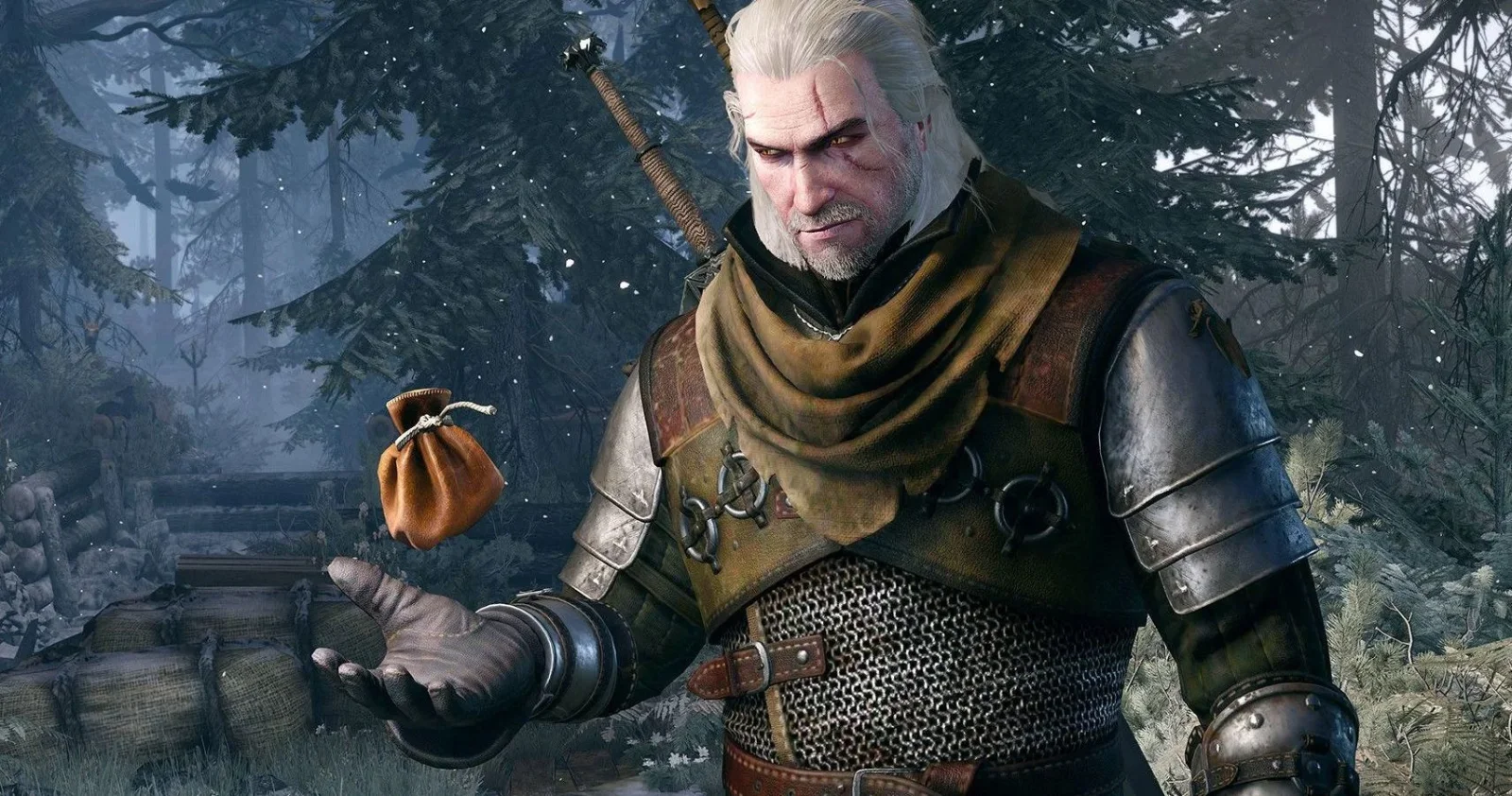 Игра «Ведьмак» (The Witcher)