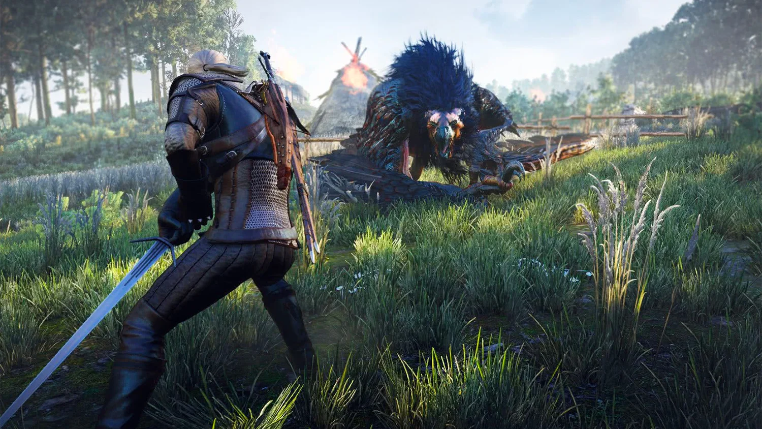 Игра «Ведьмак» (The Witcher)
